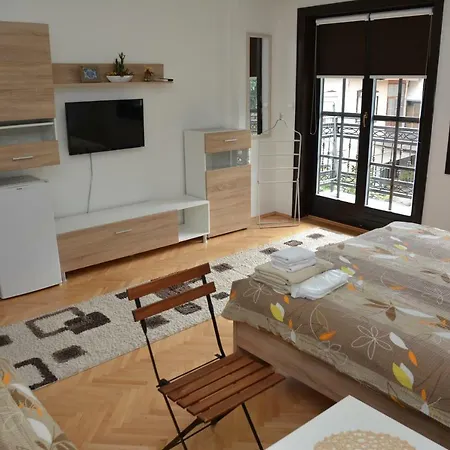 Apartment Villa Dudanov Ohrid Esterno foto