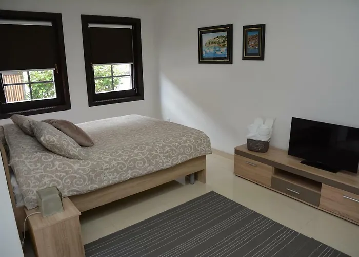 Apartment Villa Dudanov