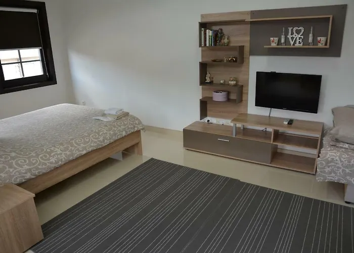 Apartment Villa Dudanov
