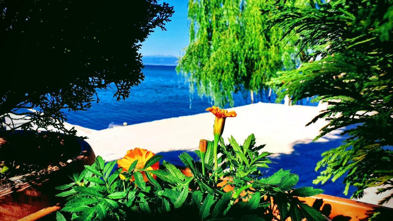 Dudanov * Ohrid